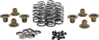 Harley-Davidson FXFB 1750 Softail Fat Bob 107 [2021] - Titanium Ventilfederhalter-Kit – Art.-Nr. 1110 – Bild 9