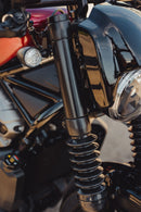 harley davidson nightster [CULT WERK] – villahuzatok-2