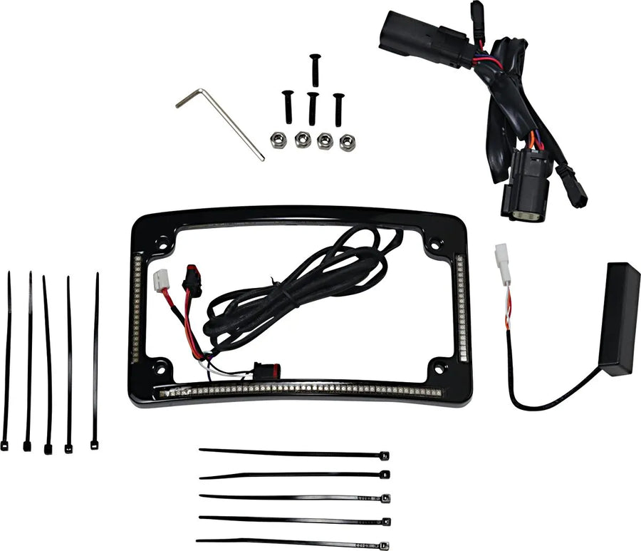 harley davidson flhr [CUSTOM DYNAMICS] – LED sugarú rendszámtábla keret