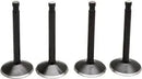 Harley Davidson FX Shovel [KIBBLEWHITE] – Black Diamond™ motorszelep készlet