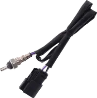 Harley-Davidson Vrscf 1250 V Rod Muscle [2013, 2015-2017] - 12 mm Lambdasonde – Art.-Nr. 9904 – Bild 11