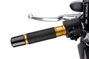 BMW F 900 R [2025] - PUIG Hi-Tech Ascent Griffe | Gold | PUIG 6326O