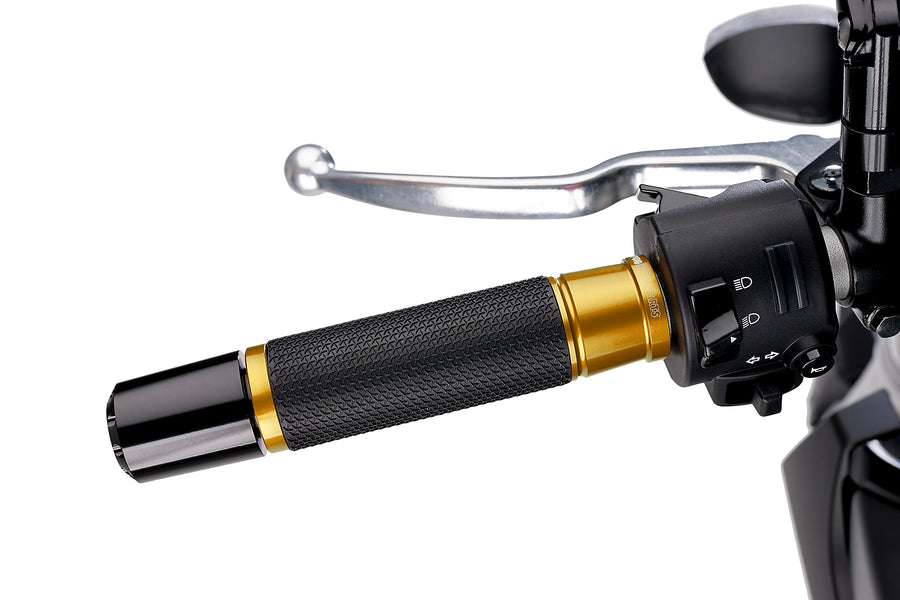 BMW F 900 R [2025] - PUIG Hi-Tech Ascent Griffe | Gold | PUIG 6326O