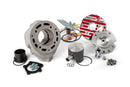 Beta RR-T SM 50 2T - Zylinderkit Testa Rossa 100