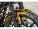 Harley Davidson Touring [RICK'S MOTORCYCLES] – Touring első sárvédő-3