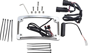 harley davidson flhr [CUSTOM DYNAMICS] – LED sugarú rendszámtábla keret