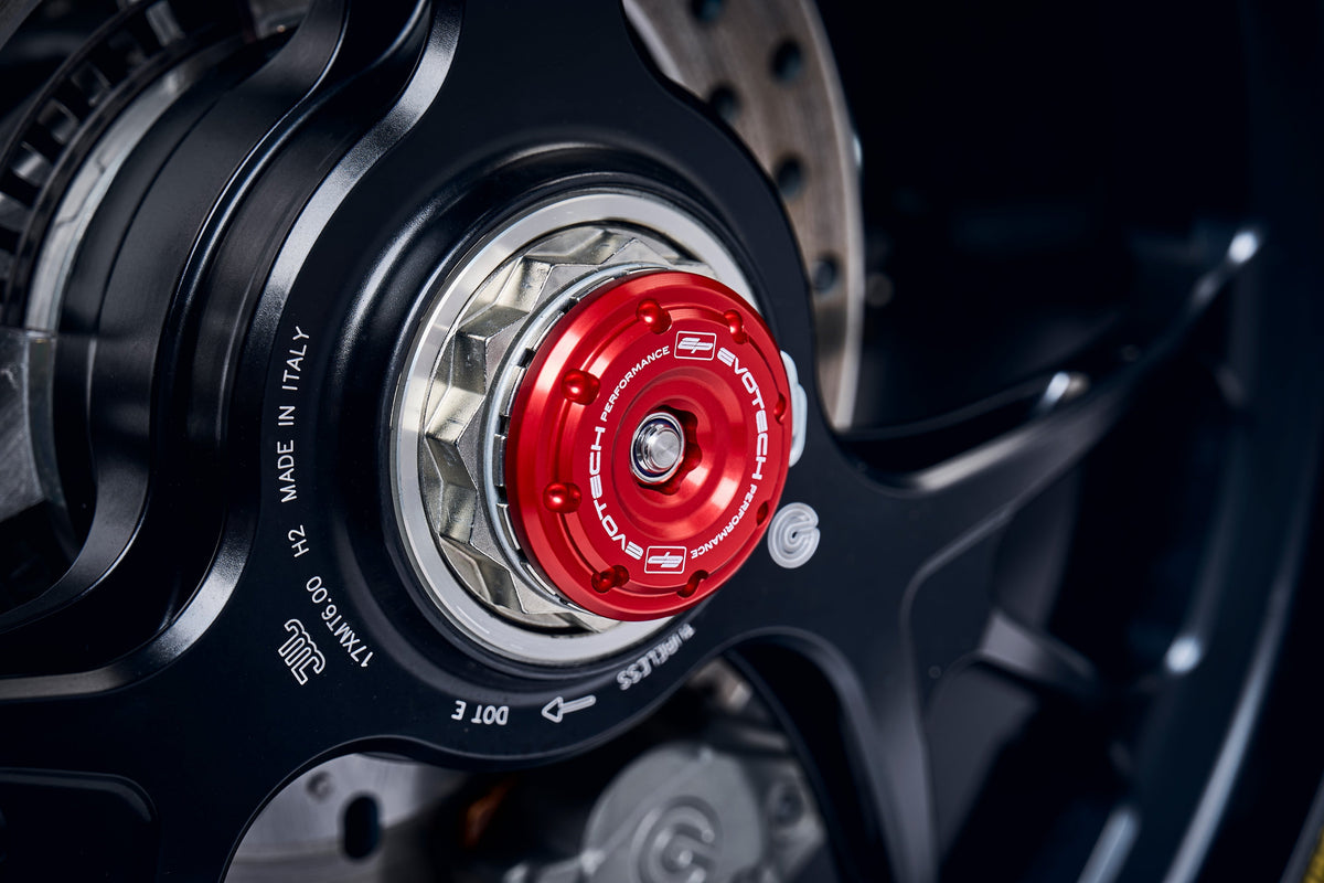 Ducati Panigale V4 R [2021-2024] - Tengelyvédő készlet – 360° Ansicht 5