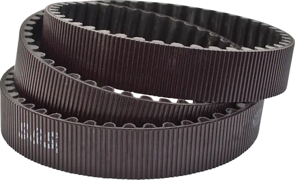 Harley-Davidson FXDXI 1450 EFI Dyna Super Glide Sport [2004] - Sekundärantriebsriemen – Bild 2