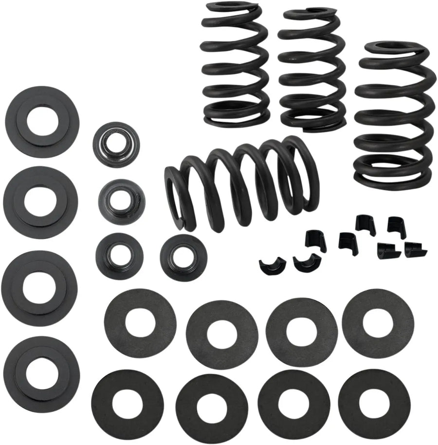 Harley-Davidson XR 1200 [2008-2010] - 0,585" Ventilfedersatz – Bild 1
