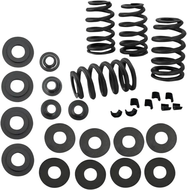 Harley-Davidson XR 1200 X [2011-2012] - 0,585" Ventilfedersatz – Bild 2