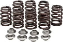 Harley-Davidson FLRT 1868 Freewheeler 114 [2021-2024] - Titanium Ventilfederhalter-Kit – Bild 12