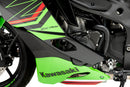 KAWASAKI ZX-4RR NINJA [2025] – Motorvédő pálya a bajnoksághoz-1