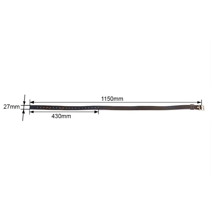 BMW F 450 GS [2026-] - Lederband für Gepäckträger